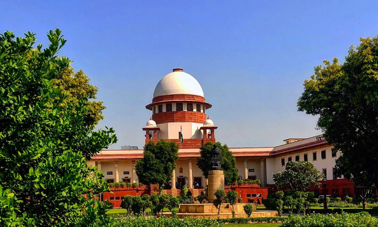 Advocate of the Supreme Court of India