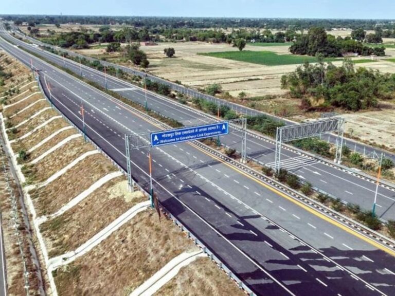 image_search_1769331064453