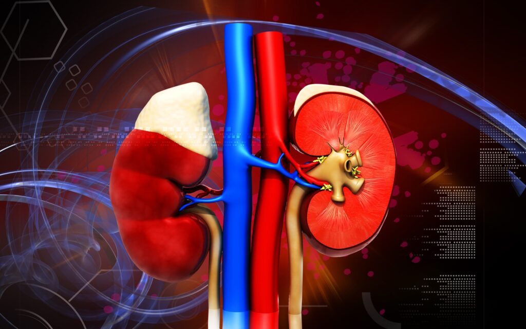 frequent urination and loss of appetite a sign of kidney damage