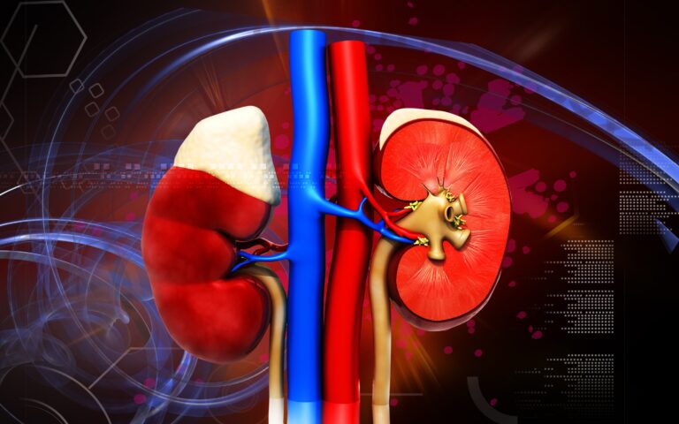 frequent urination and loss of appetite a sign of kidney damage