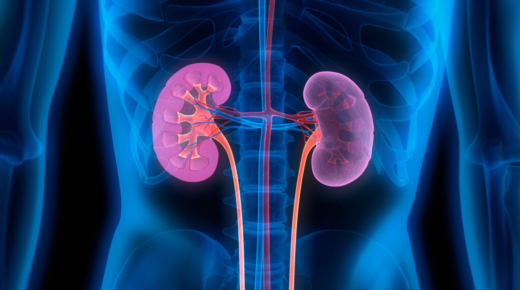 frequent urination and loss of appetite a sign of kidney damage