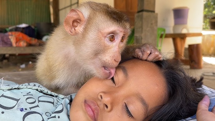 Monkey Snatches 20-Day-Old Baby from Mother's Arms and Throws Her into a Well; Baby Miraculously Survives Read the Full Story